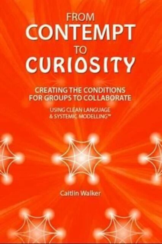 From Contempt to Curiosity av Caitlin Walker