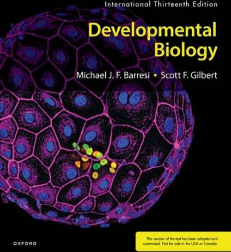 Developmental Biology XE av Michael (Professor of Biological Sciences and Neuroscience Professor of Biological Sciences and Neuroscience Smith College