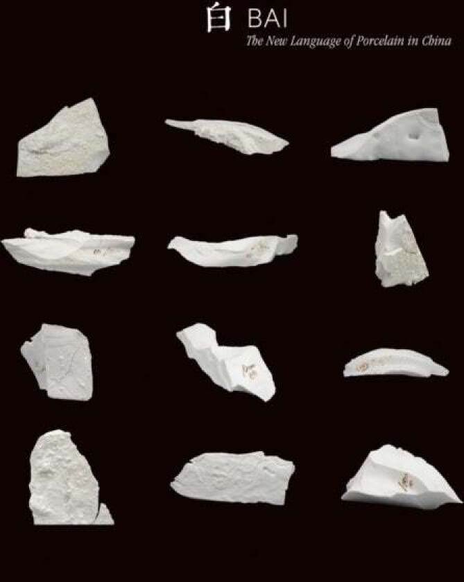 Bai: The New Language of Porcelain in China av Bai Ming