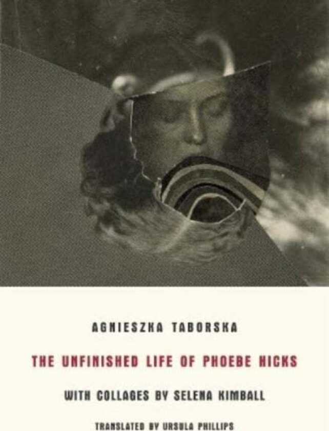 The Unfinished Life of Phoebe Hicks av Agnieszka Taborska