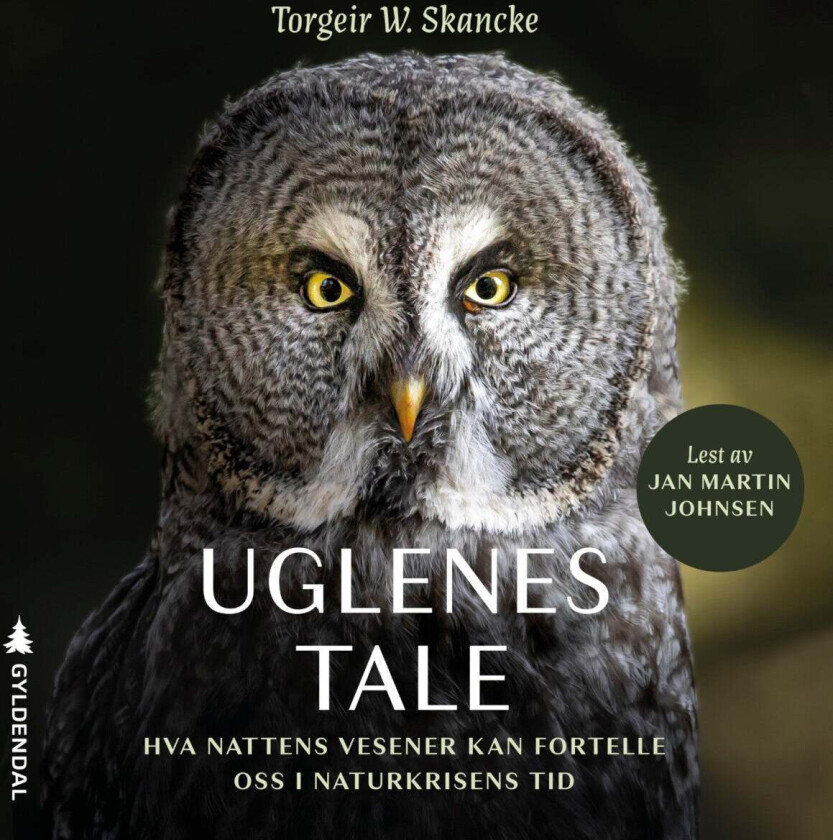 Uglenes tale av Torgeir Wittersø Skancke