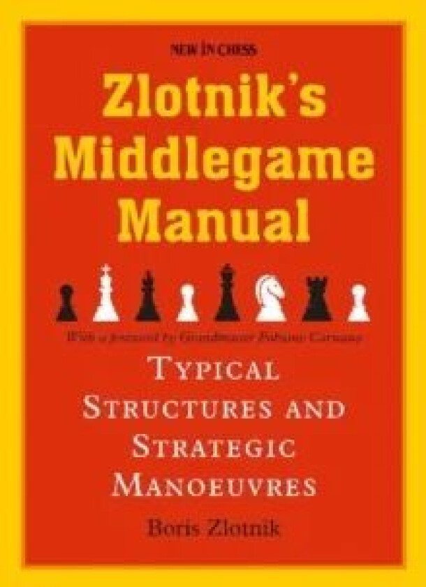 Zlotniks Middlegame Manual av Boris Zlotnik