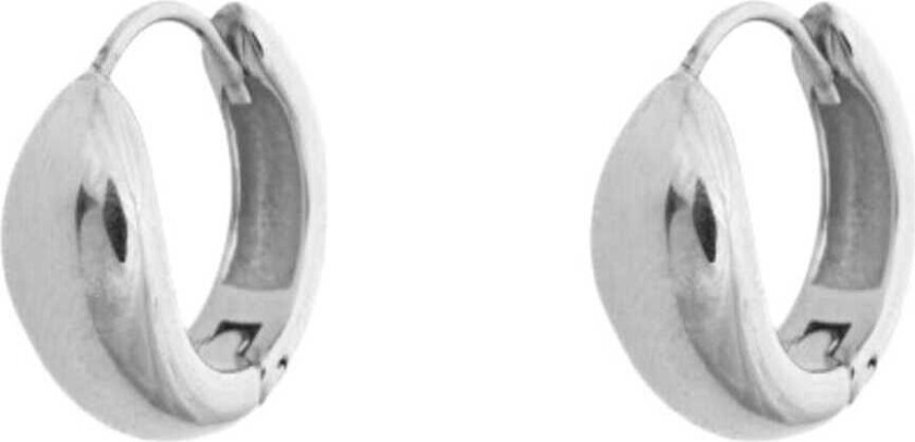 Fat Hoop Small Silver Earrings