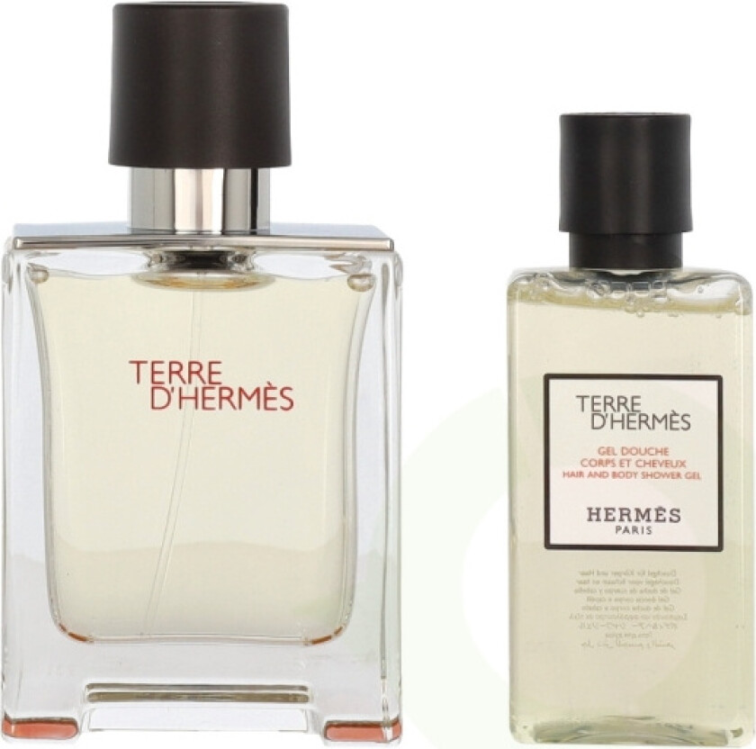 Terre D' Giftset 90 ml Edt Spray 50ml/Hair and Body Shower Gel 40 ml