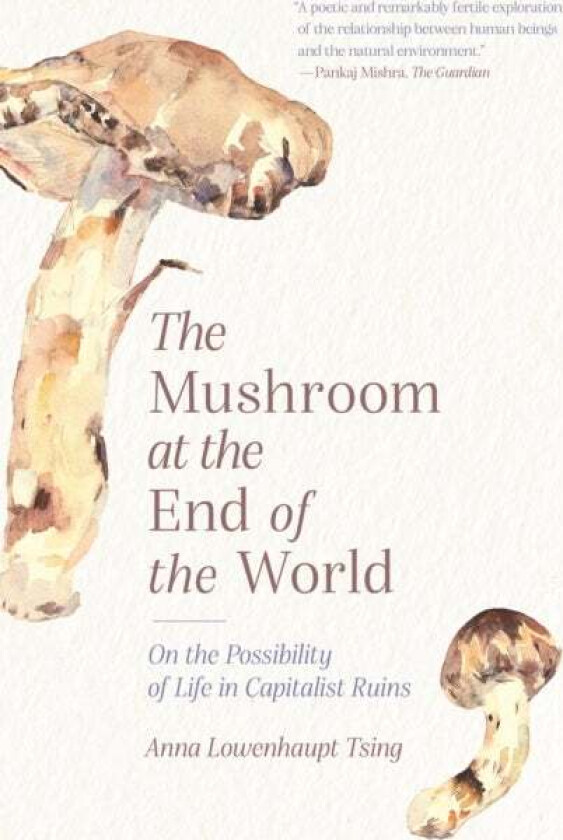 The Mushroom at the End of the World av Anna Lowenhaupt Tsing