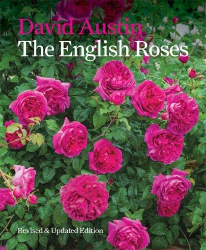 The English Roses av David Austin