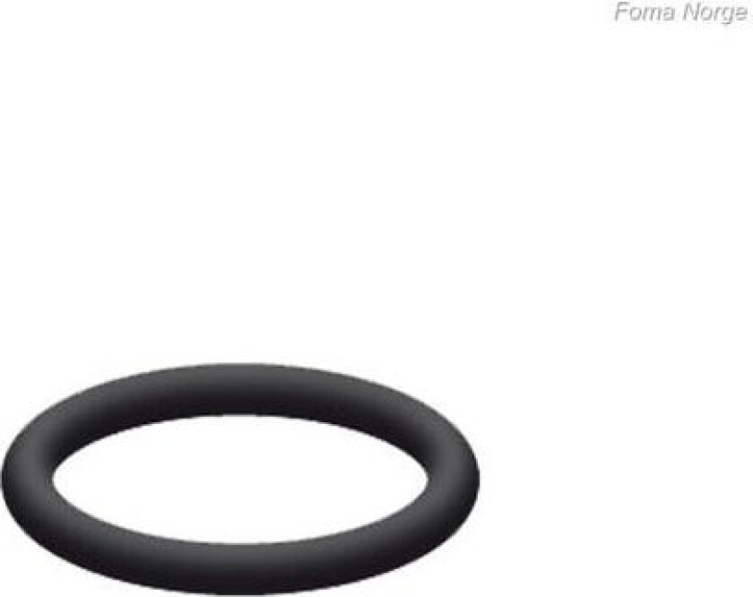 O-Ring St (1) 230041
