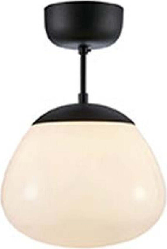 Rise taklampe - Svart/Opal hvit - Svart / Opal - Svart / Opal
