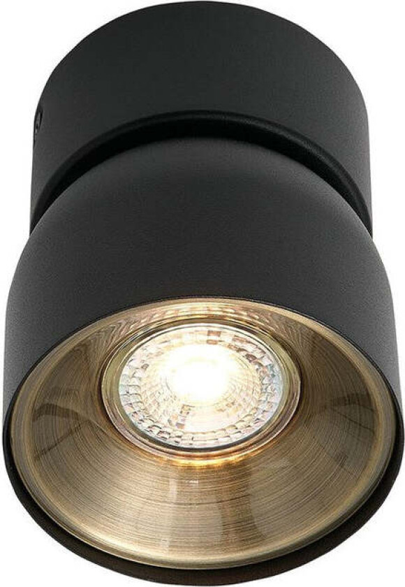 Pitcher spot 1-lys - Svart