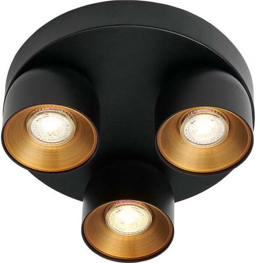 Pitcher rund spot 3-lys - Svart