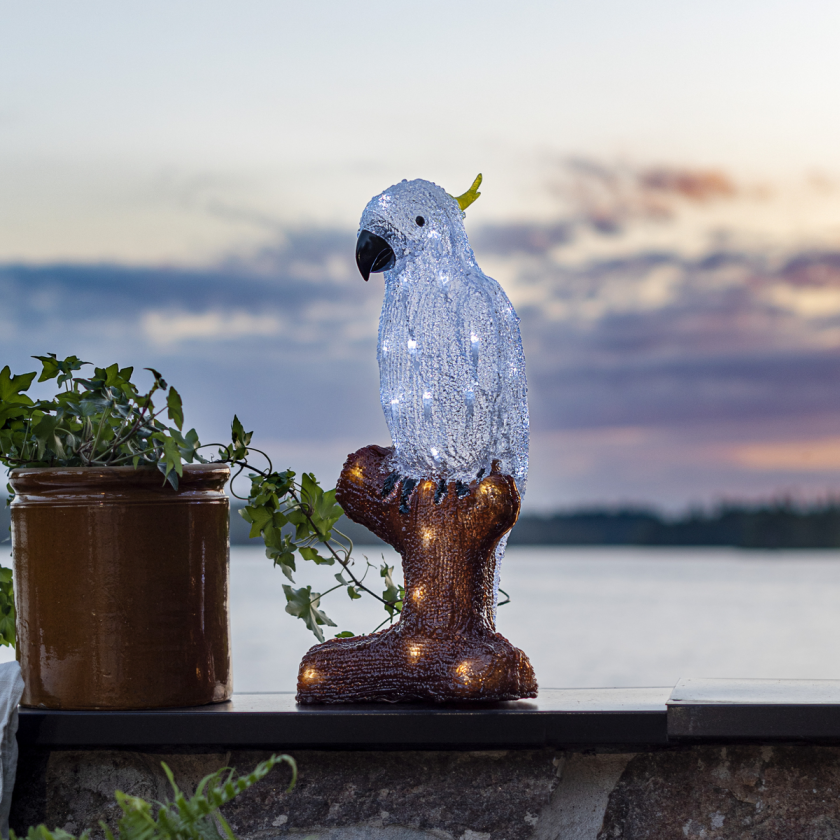 Papegøye 47 cm - Akryl