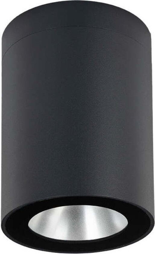 Nidaros 2121 taklampe utendørs 7,8W Dimbar 3000K IP65 - Grafitt