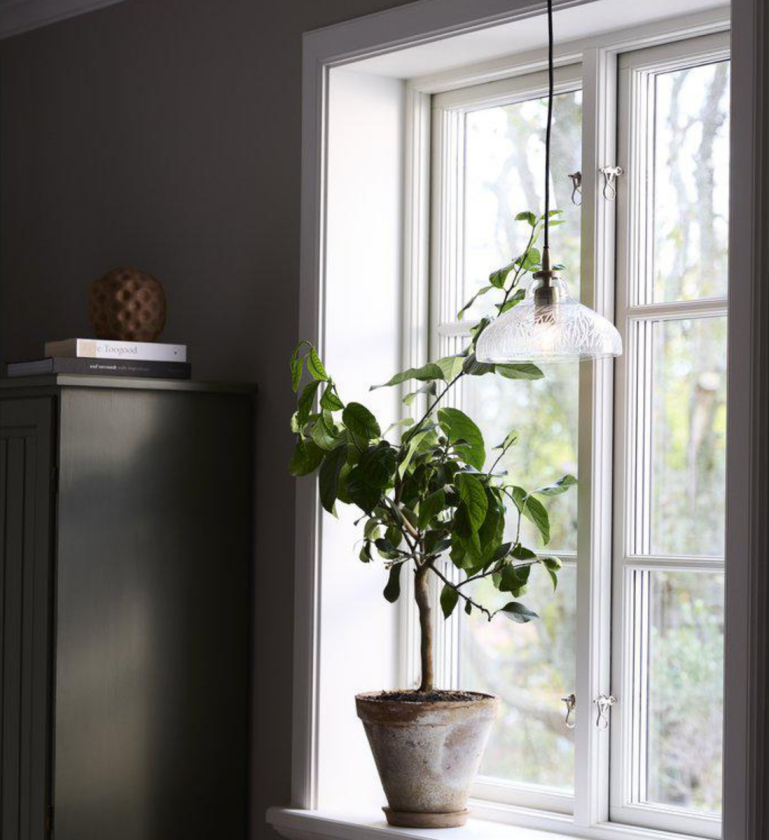 Maple takpendel - Klar - Klar