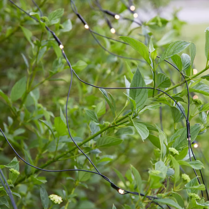 Lysnett 2x2m - Garden 24 - Svart - Svart