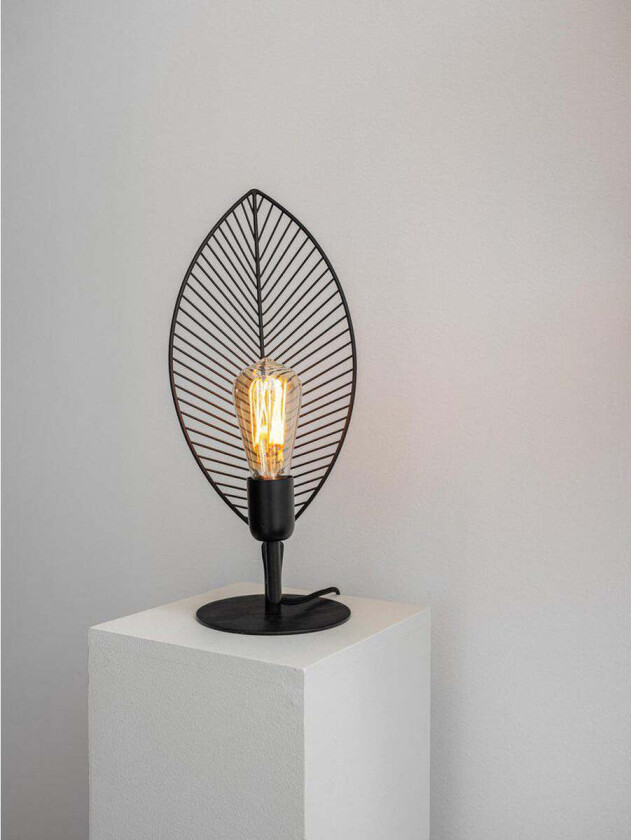 Elm bordlampe medium - Sort - Rust