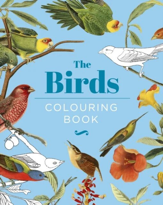The Birds Colouring Book av Peter Gray