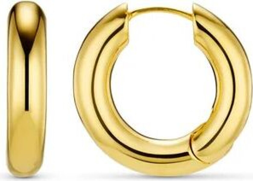 Polished Chubby Mid-Size Hoop - Pale Gold One Size