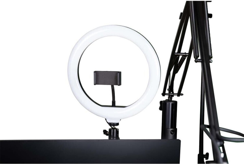 Gfw-Id-Ctringlight Creator Tree Ring Light Fixture