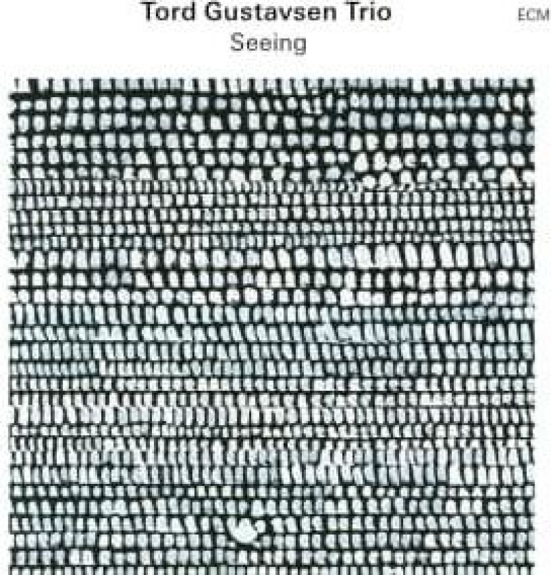 Tord Gustavsen Trio - Seeing
