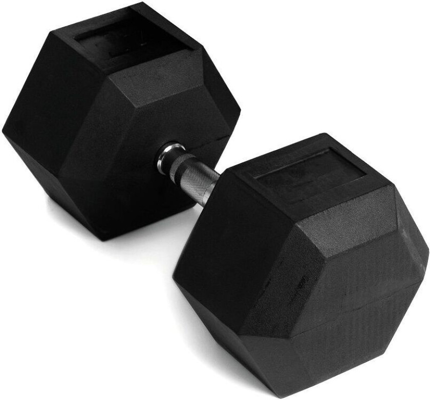 - Hex Dumbbell Manual 47,5 kg