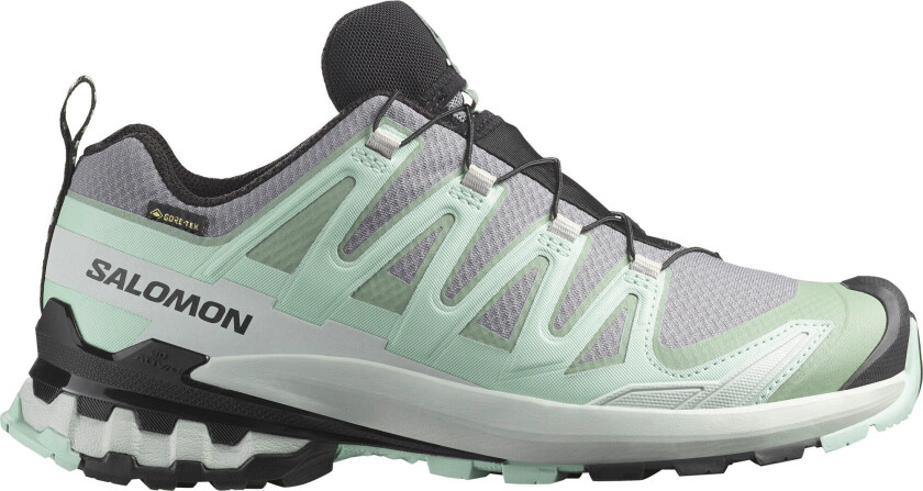 Women's XA Pro 3D V9 GORE-TEX Basic Grey 41 1/3