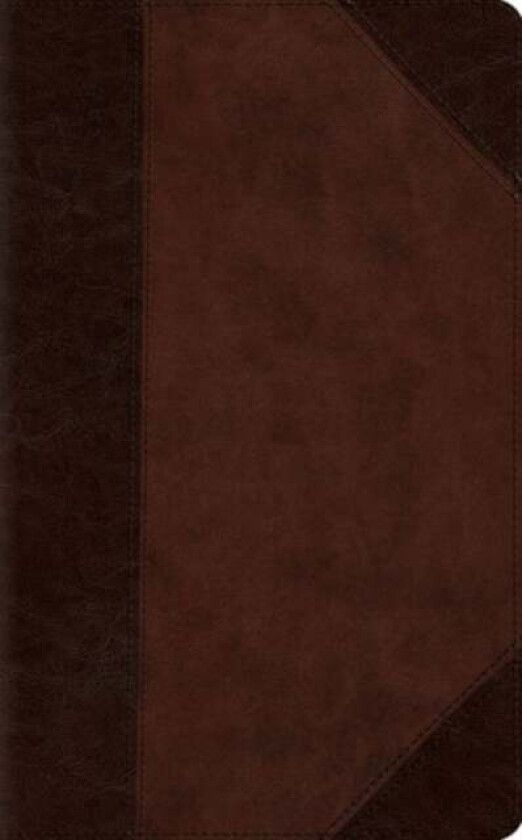 ESV Large Print Compact Bible
