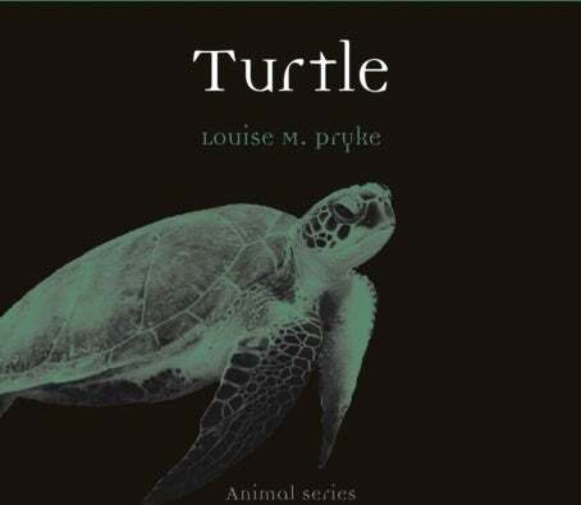 Turtle av Louise M. Pryke