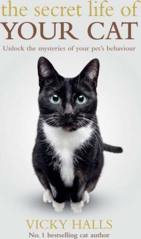 The Secret Life Of Your Cat av Vicky Halls