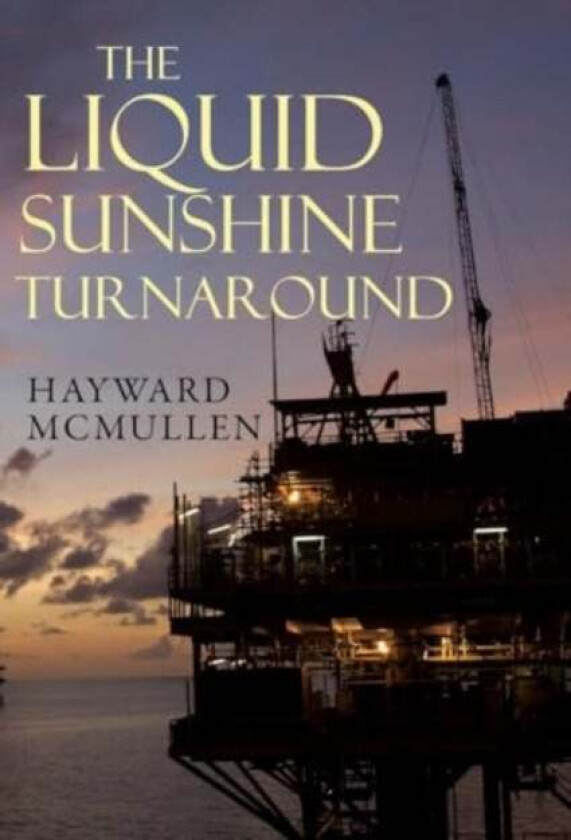 The Liquid Sunshine Turnaround av Hayward McMullen