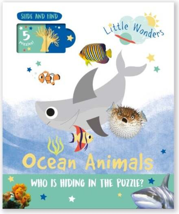 Sea Animals