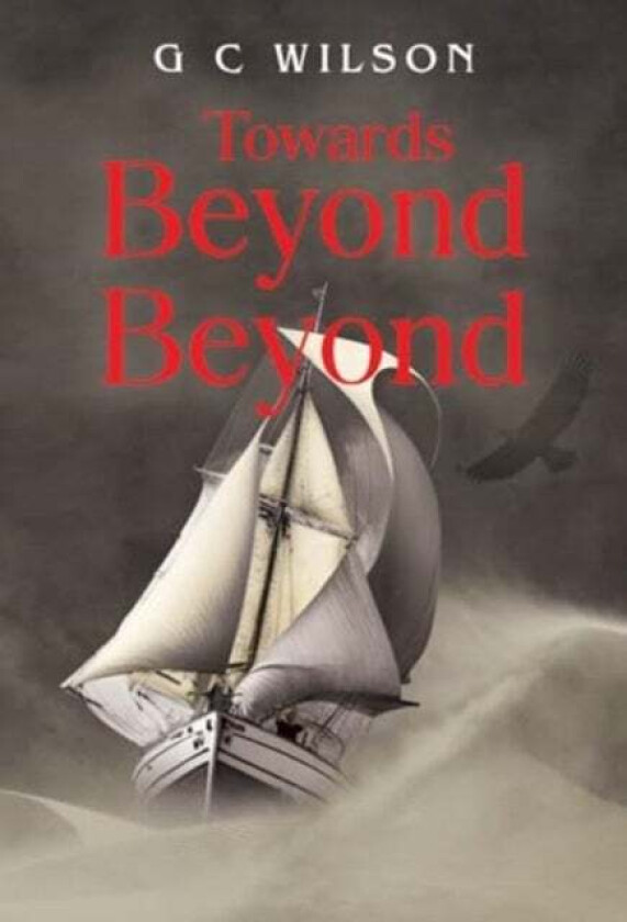 Towards Beyond Beyond av G C Wilson