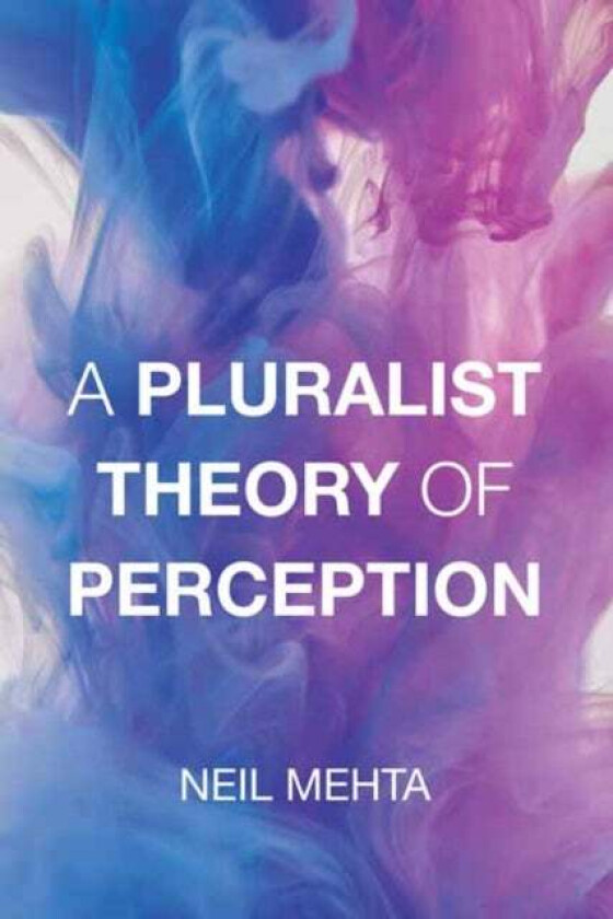 A Pluralist Theory of Perception av Neil Mehta