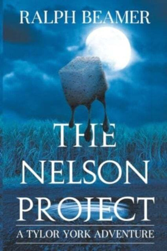 The Nelson Project av Ralph Beamer