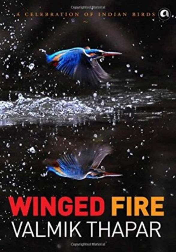Winged Fire: A Celebration of Indian Birds, Part 3 of The Indian Wildlife Trilogy av Valmik Thapar