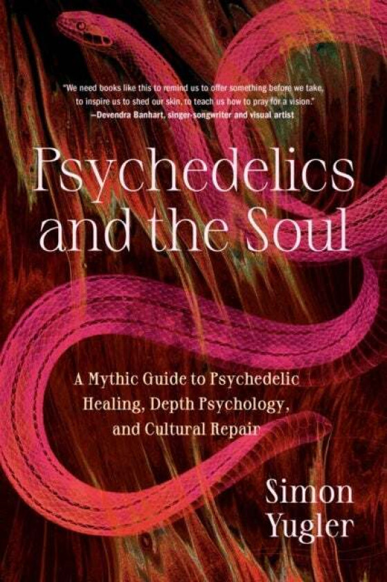 Psychedelics and the Soul av Simon Yugler