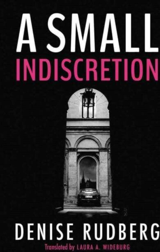 A Small Indiscretion av Denise Rudberg