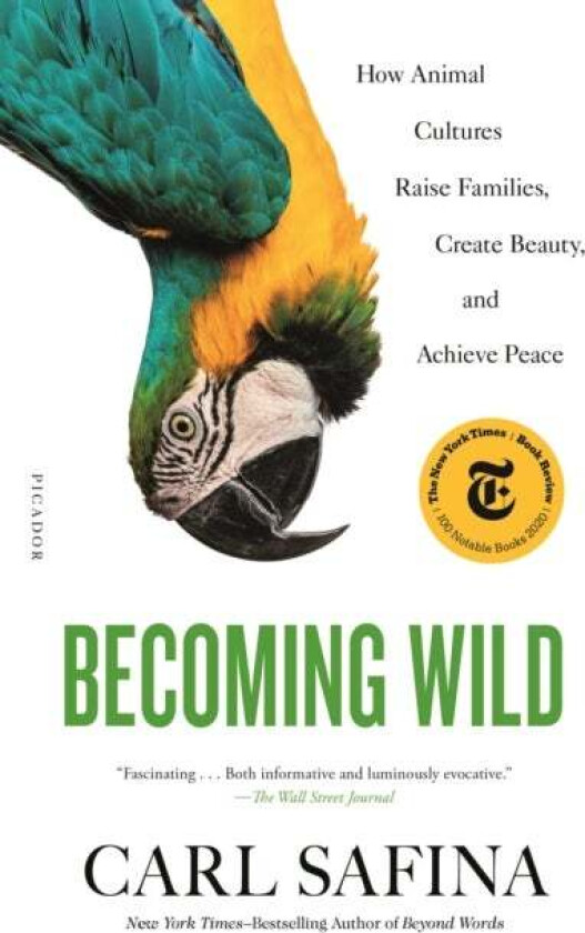 Becoming Wild av Carl Safina
