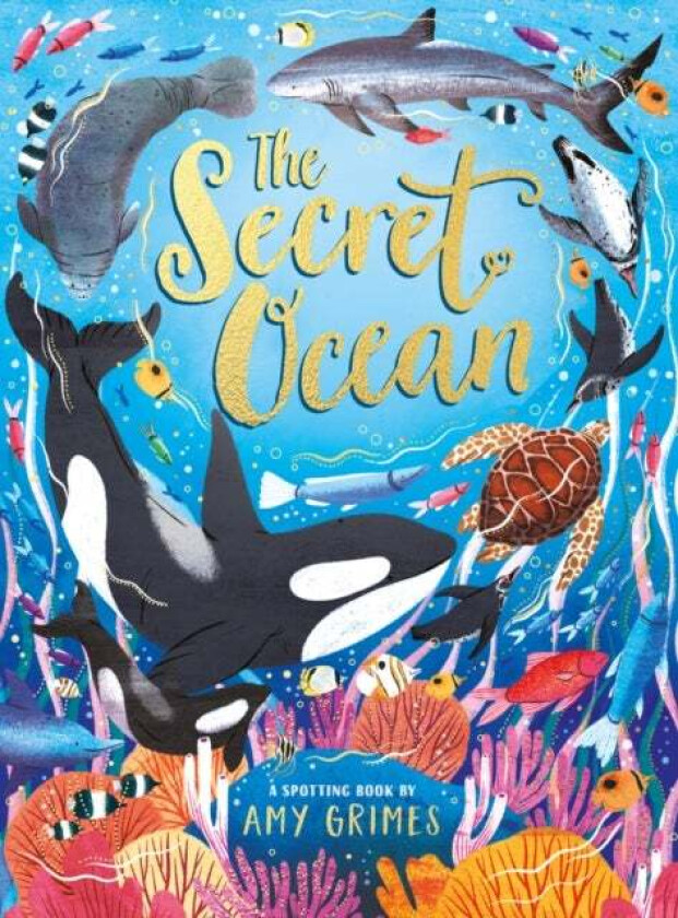 The Secret Ocean av Amy Grimes