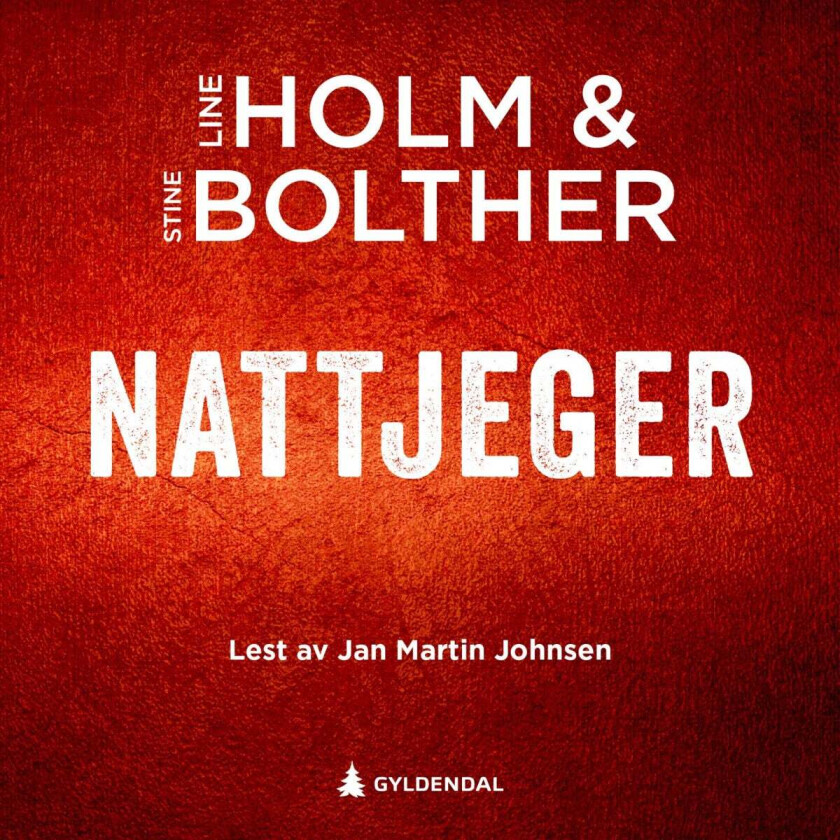 Nattjeger av Stine Bolther, Line Holm