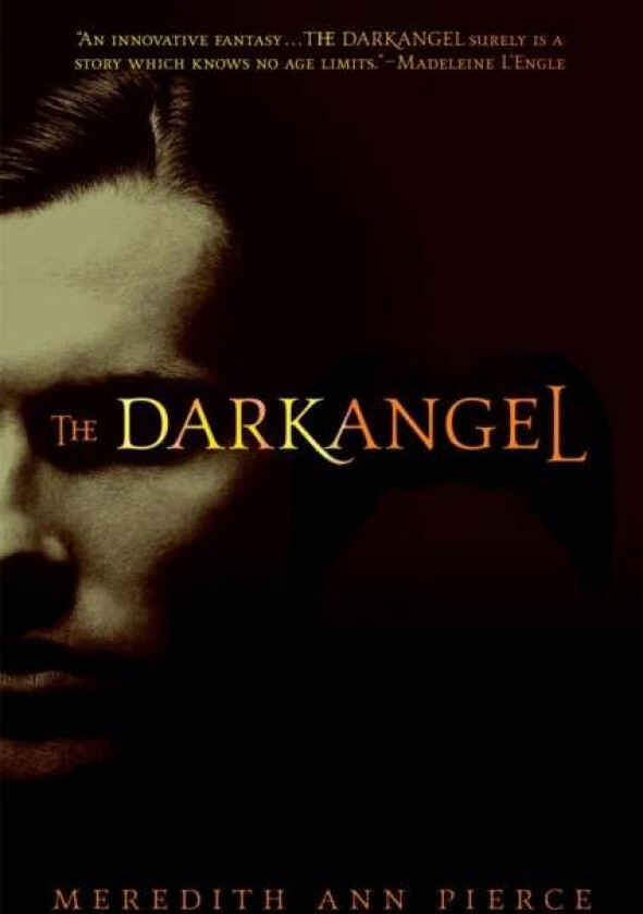The Darkangel av Meredith Ann Pierce