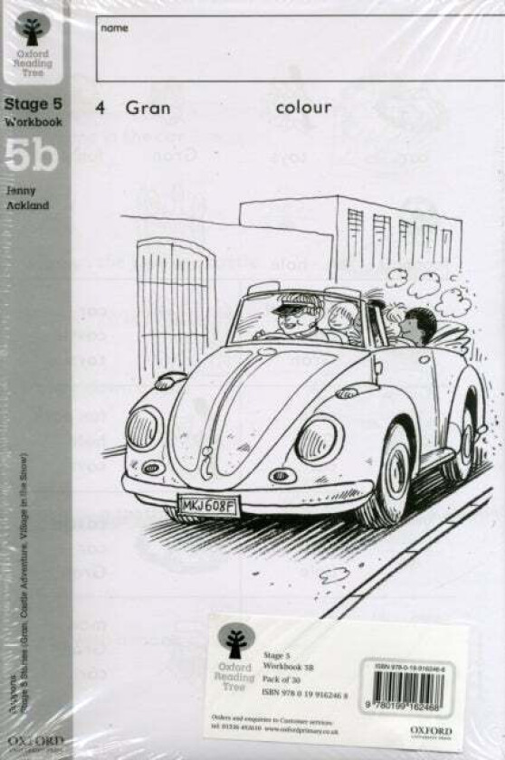 Oxford Reading Tree: Level 5: Workbooks: Class Pack 5B (30 workbooks) av Jenny Ackland