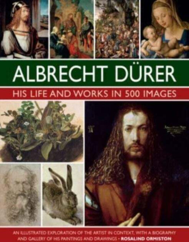 Durer: His Life and Works in 500 Images av Rosalind Ormiston