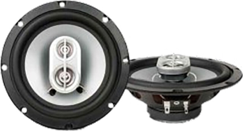 16 Cm Højttaler