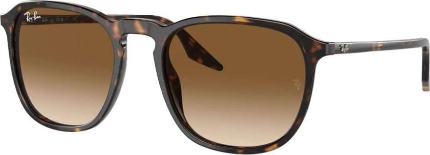 Acetate Sunglass Havana, solbriller, unisex Acetate Unisex Sungl