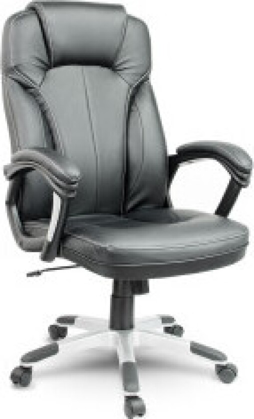 Elegant kontorstol i skinn, Sofotel EG-222, svart