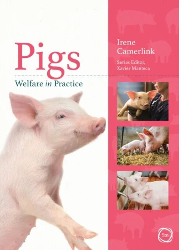 Pigs Welfare in Practice av Irene Camerlink