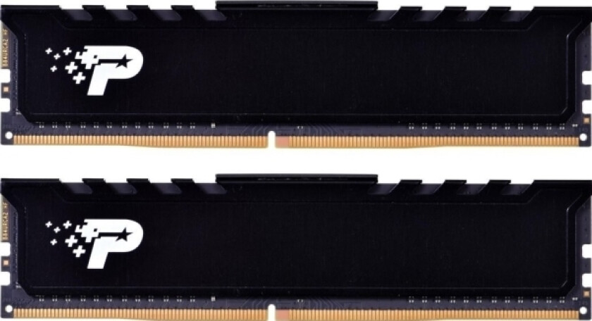 Pami Patriot Ddr4, 16 Gb, 2666Mhz, Cl19 (Pampatdr40097)
