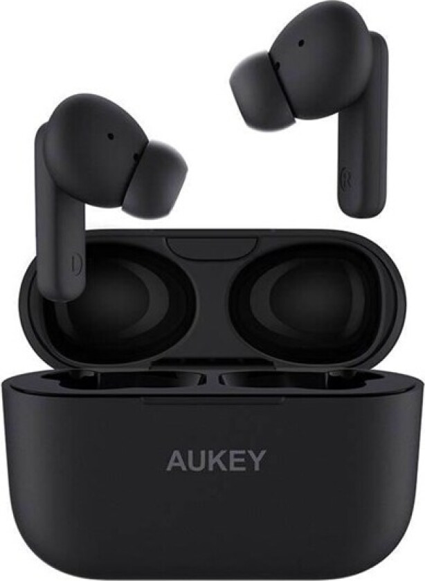 TWS Earphones EP-M1S (black)