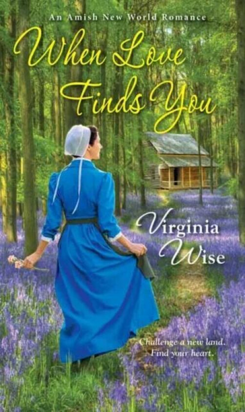 When Love Finds You av Virginia Wise