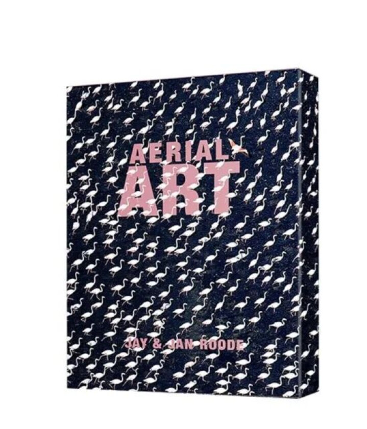 Aerial Art - Standard Editon av Jay Roode, Jan Roode